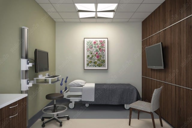 3d rendering interior healthcare focal point lighting fixture