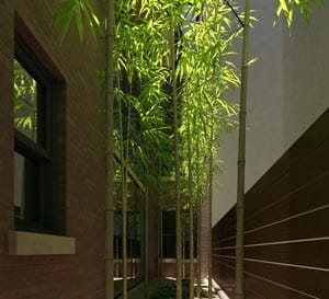 3D Architectural Exterior Rendering rendering roof garden NYC
